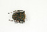  ( - BC-TB9071)  @14 [ ] Copyright (2012) Thierry Bouyer Research Collection of Thierry Bouyer