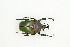  ( - BC-TB9077)  @13 [ ] Copyright (2012) Thierry Bouyer Research Collection of Thierry Bouyer