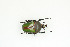  ( - BC-TB9081)  @14 [ ] Copyright (2012) Thierry Bouyer Research Collection of Thierry Bouyer