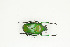  ( - BC-TB9096)  @11 [ ] Copyright (2012) Thierry Bouyer Research Collection of Thierry Bouyer