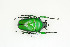  ( - BC-TB9099)  @11 [ ] Copyright (2012) Thierry Bouyer Research Collection of Thierry Bouyer