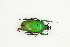  ( - BC-TB9104)  @11 [ ] Copyright (2012) Thierry Bouyer Research Collection of Thierry Bouyer