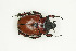  ( - BC-TB9110)  @11 [ ] Copyright (2012) Thierry Bouyer Research Collection of Thierry Bouyer