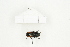  ( - BC-TB8327)  @13 [ ] Copyright (2011) Thierry Bouyer Research Collection of Thierry Bouyer