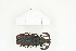  ( - BC-TB8333)  @11 [ ] Copyright (2011) Thierry Bouyer Research Collection of Thierry Bouyer