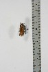  ( - BC-TB4882)  @11 [ ] Copyright (2010) Unspecified Research Collection of Thierry Bouyer