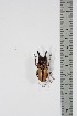  ( - BC-TB4903)  @11 [ ] Copyright (2010) Unspecified Research Collection of Thierry Bouyer