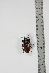  ( - BC-TB4938)  @13 [ ] Copyright (2010) Unspecified Research Collection of Thierry Bouyer
