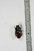  ( - BC-TB4940)  @13 [ ] Copyright (2010) Unspecified Research Collection of Thierry Bouyer