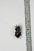  ( - BC-TB4942)  @11 [ ] Copyright (2010) Unspecified Research Collection of Thierry Bouyer