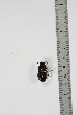  ( - BC-TB4945)  @11 [ ] Copyright (2010) Unspecified Research Collection of Thierry Bouyer