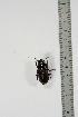  ( - BC-TB4953)  @13 [ ] Copyright (2010) Unspecified Research Collection of Thierry Bouyer