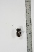  ( - BC-TB4956)  @12 [ ] Copyright (2010) Unspecified Research Collection of Thierry Bouyer
