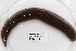  ( - 09PROBE-00301)  @13 [ ] CreativeCommons - Attribution (2009) Unspecified Centre for Biodiversity Genomics