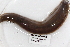  ( - 09PROBE-00302)  @13 [ ] CreativeCommons - Attribution (2009) Unspecified Centre for Biodiversity Genomics