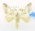  ( - USNM ENT 00808933)  @12 [ ] Unspecified (default): All Rights Reserved  Unspecified Unspecified