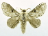  (Titya interstriata - USNM ENT 00808942)  @14 [ ] Unspecified (default): All Rights Reserved  Unspecified Unspecified