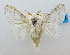  ( - USNM ENT 00980696)  @11 [ ] Unspecified (default): All Rights Reserved  Unspecified Unspecified