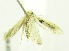  ( - USNM ENT 00719497)  @12 [ ] Unspecified (default): All Rights Reserved  Unspecified Unspecified