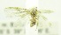  ( - USNM ENT 00719508)  @14 [ ] Unspecified (default): All Rights Reserved  Unspecified Unspecified