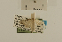  ( - USNM ENT 00475776)  @13 [ ] Unspecified (default): All Rights Reserved  Unspecified Unspecified