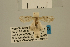  ( - USNM ENT 00475777)  @13 [ ] Unspecified (default): All Rights Reserved  Unspecified Unspecified