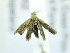  ( - USNM ENT 00980014)  @12 [ ] Unspecified (default): All Rights Reserved  Unspecified Unspecified