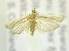  ( - USNM ENT 00980037)  @13 [ ] Unspecified (default): All Rights Reserved  Unspecified Unspecified
