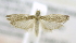  ( - USNM ENT 00980059)  @12 [ ] Unspecified (default): All Rights Reserved  Unspecified Unspecified