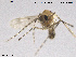  ( - ZACHIR123)  @11 [ ] CreativeCommons - Attribution Non-Commercial Share-Alike (2013) NTNU Museum of Natural History and Archaeology NTNU Museum of Natural History and Archaeology