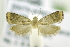  ( - RMCA ENT 000006987)  @12 [ ] Unspecified (default): All Rights Reserved  Unspecified Unspecified