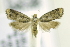  ( - RMCA ENT 000006988)  @11 [ ] Unspecified (default): All Rights Reserved  Unspecified Unspecified