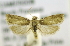  ( - RMCA ENT 000007002)  @13 [ ] Unspecified (default): All Rights Reserved  Unspecified Unspecified