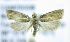  ( - RMCA ENT 000007003)  @12 [ ] Unspecified (default): All Rights Reserved  Unspecified Unspecified