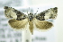  ( - RMCA ENT 000007045)  @12 [ ] Unspecified (default): All Rights Reserved  Unspecified Unspecified