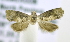  ( - RMCA ENT 000007057)  @12 [ ] Unspecified (default): All Rights Reserved  Unspecified Unspecified