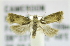  ( - RMCA ENT 000007061)  @13 [ ] Unspecified (default): All Rights Reserved  Unspecified Unspecified
