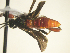  ( - AGA-003)  @12 [ ] Unspecified (default): All Rights Reserved  Unspecified Unspecified