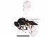 ( - BIOUG31798-D04)  @14 [ ] CreativeCommons - Attribution (2017) CBG Photography Group Centre for Biodiversity Genomics