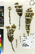  ( - TTS_316)  @11 [ ] No Rights Reserved  Unspecified Unspecified