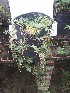  ( - IBONESeijoAra-73)  @11 [ ] Copyright (2016) IBONE IBONE