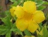  ( - B115)  @11 [ ] Copyright (2014) PHCDBS Paul Hebert Centre For DNA Barcoding And Biodiversity Studies