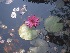 ( - B124)  @11 [ ] Copyright (2014) PHCDBS Paul Hebert Centre For DNA Barcoding And Biodiversity Studies