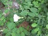  ( - B125)  @11 [ ] Copyright (2014) PHCDBS Paul Hebert Centre For DNA Barcoding And Biodiversity Studies