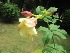  ( - B90)  @11 [ ] Copyright (2014) PHCDBS Paul Hebert Centre For DNA Barcoding And Biodiversity Studies