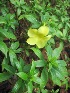  ( - B97)  @11 [ ] Copyright (2014) PHCDBS Paul Hebert Centre For DNA Barcoding And Biodiversity Studies