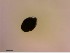  ( - OW-Farum-A2-1)  @11 [ ] CreativeCommons - Attribution Non-Commercial Share-Alike (2018) Unspecified Aarhus University