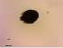  ( - OW-Farum-A2-2)  @11 [ ] CreativeCommons - Attribution Non-Commercial Share-Alike (2018) Unspecified Aarhus University