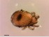  ( - OW-Moen-25-1)  @11 [ ] CreativeCommons - Attribution Non-Commercial Share-Alike (2018) Unspecified Aarhus University