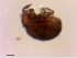  ( - OW-Moen-25-3)  @11 [ ] CreativeCommons - Attribution Non-Commercial Share-Alike (2018) Unspecified Aarhus University